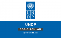 UNDP Job Circular