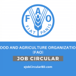 Food and Agriculture Organization (FAO) Job Circular