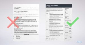 cv template