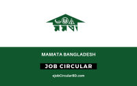 Mamata Bangladesh job