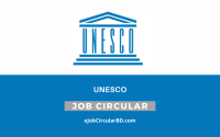 UNESCO Job