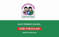 Govt Primary School Job