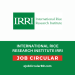 International Rice Research Institute IRRI job