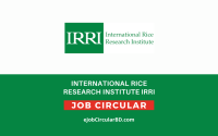 International Rice Research Institute IRRI job